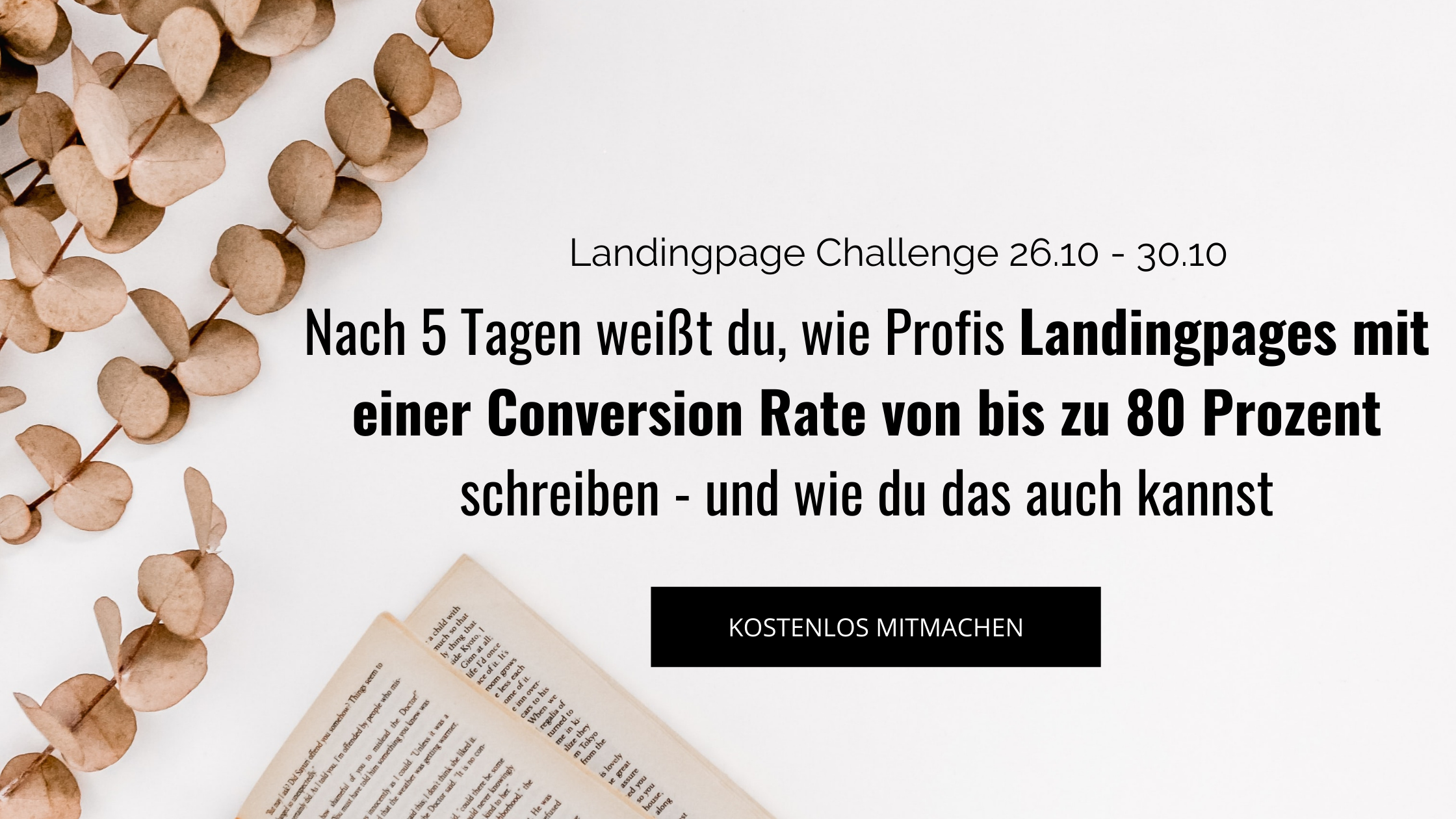 Landingpage Aufbau Fur Freebies Webinare Challenges Und Co